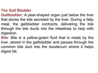 The Gall Bladder
Gallbladder: A pear-shaped organ just below the liver
that stores the bile secreted by the liver. During a fatty
meal, the gallbladder contracts, delivering the bile
through the bile ducts into the intestines to help with
digestion.
Bile: Bile is a yellow-green fluid that is made by the
liver, stored in the gallbladder and passes through the
common bile duct into the duodenum where it helps
digest fat.
 