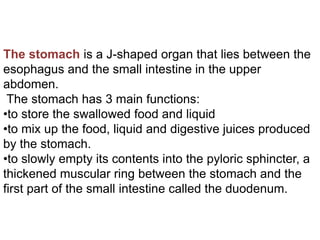 The stomach is a J-shaped organ that lies between the
esophagus and the small intestine in the upper
abdomen.
The stomach has 3 main functions:
•to store the swallowed food and liquid
•to mix up the food, liquid and digestive juices produced
by the stomach.
•to slowly empty its contents into the pyloric sphincter, a
thickened muscular ring between the stomach and the
first part of the small intestine called the duodenum.
 