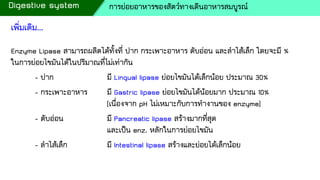 เพิ่มเติม...
Enzyme Lipase สามารถผลิตได้ทั้งที่ ปาก กระเพาะอาหาร ตับอ่อน และลาไส้เล็ก โดยจะมี %
ในการย่อยไขมันได้ในปริมาณที่ไม่เท่ากัน
- ปาก มี Lingual lipase ย่อยไขมันได้เล็กน้อย ประมาณ 30%
- กระเพาะอาหาร มี Gastric lipase ย่อยไขมันได้น้อยมาก ประมาณ 10%
(เนื่องจาก pH ไม่เหมาะกับการทางานของ enzyme)
- ตับอ่อน มี Pancreatic lipase สร้างมากที่สุด
และเป็น enz. หลักในการย่อยไขมัน
- ลาไส้เล็ก มี Intestinal lipase สร้างและย่อยได้เล็กน้อย
Digestive system การย่อยอาหารของสัตว์ทางเดินอาหารสมบูรณ์
 