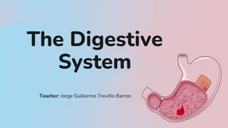 Teacher: Jorge Guillermo Treviño Barron
The Digestive
System
 