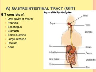 A complete guide to the Human Digestive System | PPTX