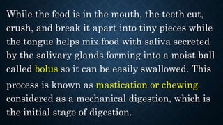 While the food is in the mouth, the teeth cut,
crush, and break it apart into tiny pieces while
the tongue helps mix food with saliva secreted
by the salivary glands forming into a moist ball
called bolus so it can be easily swallowed. This
process is known as mastication or chewing
considered as a mechanical digestion, which is
the initial stage of digestion.
 