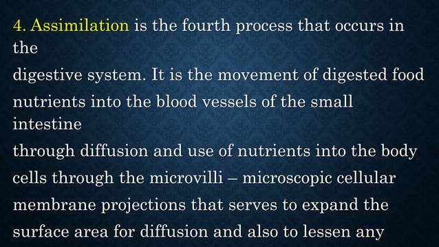 Science Grade 8- The Digestive System.pptx