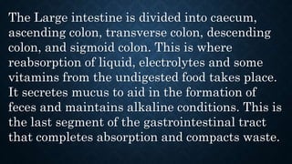 The Large intestine is divided into caecum,
ascending colon, transverse colon, descending
colon, and sigmoid colon. This is where
reabsorption of liquid, electrolytes and some
vitamins from the undigested food takes place.
It secretes mucus to aid in the formation of
feces and maintains alkaline conditions. This is
the last segment of the gastrointestinal tract
that completes absorption and compacts waste.
 