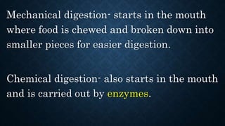 Mechanical digestion- starts in the mouth
where food is chewed and broken down into
smaller pieces for easier digestion.
Chemical digestion- also starts in the mouth
and is carried out by enzymes.
 