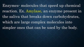 Enzymes- molecules that speed up chemical
reaction. Ex. Amylase, an enzyme present in
the saliva that breaks down carbohydrates,
which are large complex molecules into
simpler ones that can be used by the body.
 