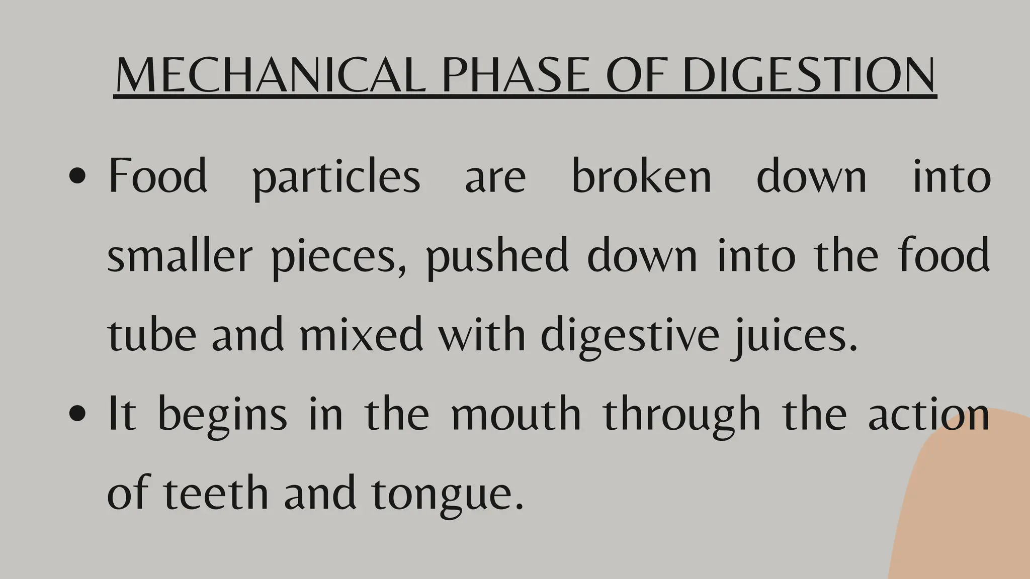 Digestive System Lesson For Grade 6