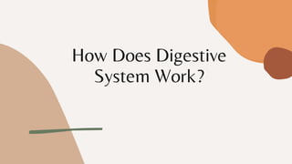 How Does Digestive
System Work?
 