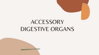 ACCESSORY
DIGESTIVE ORGANS
 
