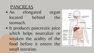 An elongated organ
located behind the
stomach.
It produces pancreatic juice
which helps neutralize or
weaken the acidity of the
food before it enters the
small intestine.
PANCREAS
 