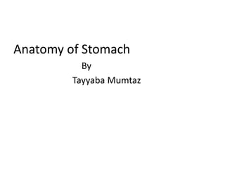 Anatomy of Stomach
By
Tayyaba Mumtaz
 