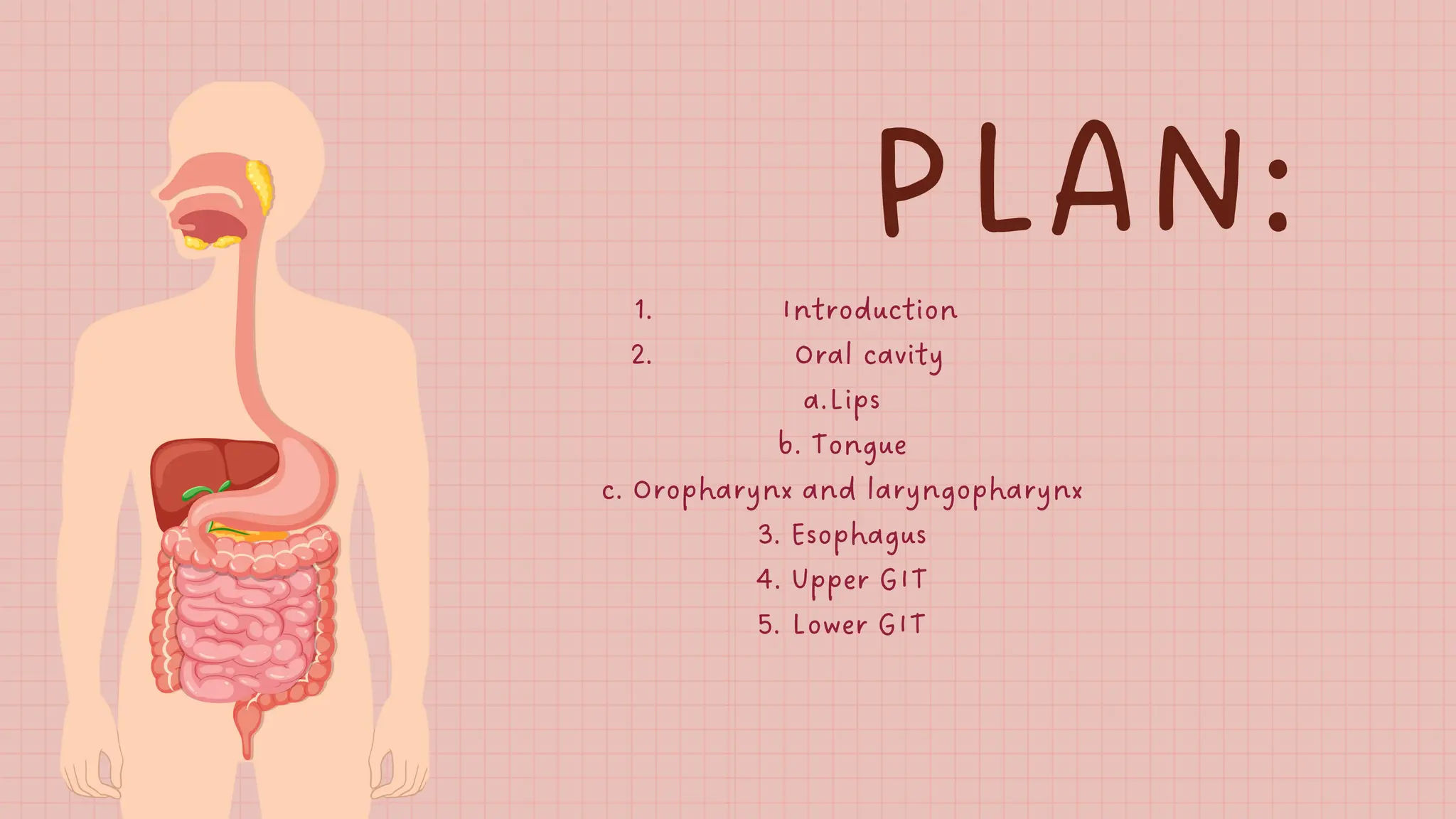Histological features of Gastrointestinal tract | PDF