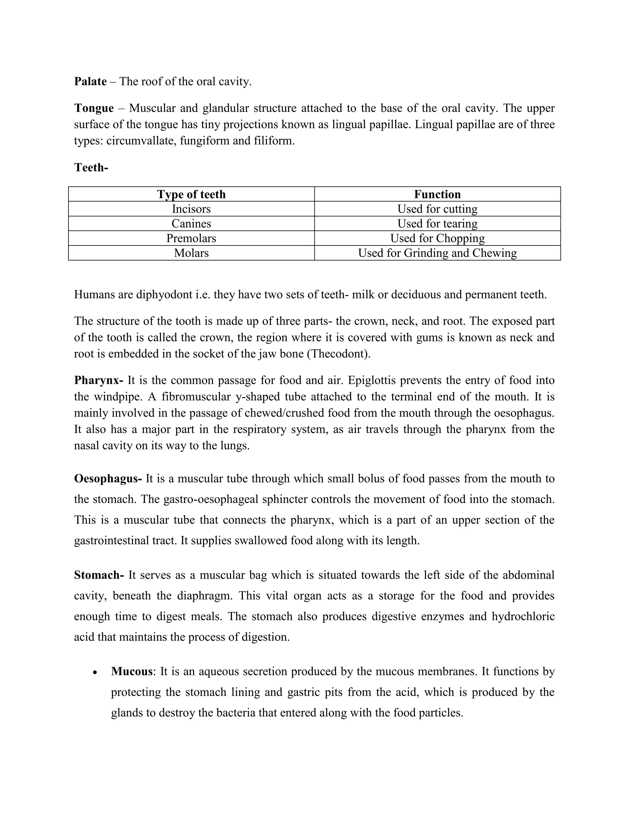 Human Physiology Digestive System Docx Digestive Disorders