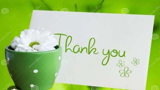 Human digestive system structure and function