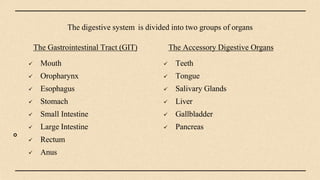 The digestive system is divided into two groups of organs
The Accessory Digestive Organs
 Teeth
 Tongue
 Salivary Glands
 Liver
 Gallbladder
 Pancreas
The Gastrointestinal Tract (GIT)
 Mouth
 Oropharynx
 Esophagus
 Stomach
 Small Intestine
 Large Intestine
 Rectum
 Anus
 