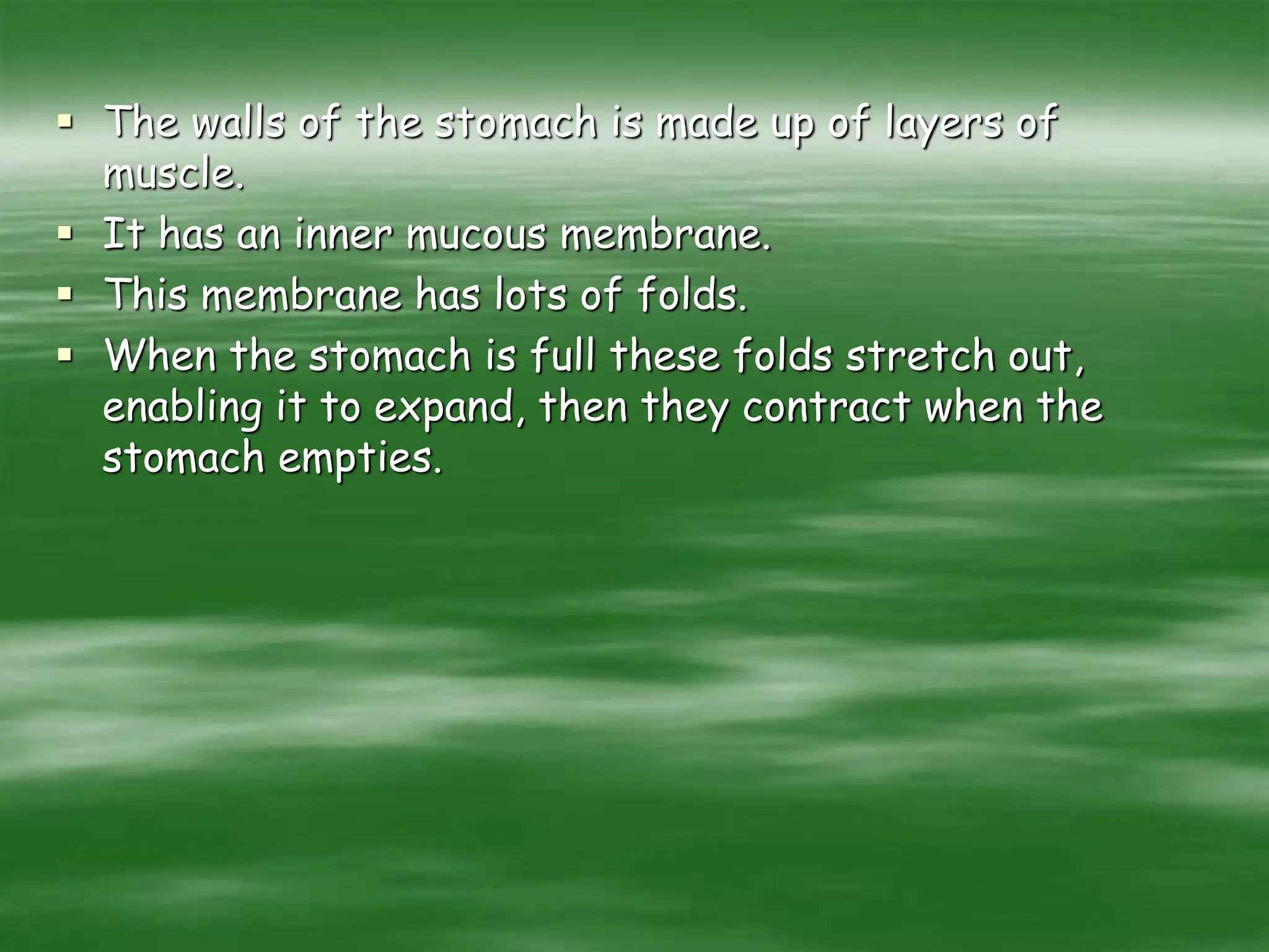  The walls of the stomach is made up of layers of
muscle.
 It has an inner mucous membrane.
 This membrane has lots of folds.
 When the stomach is full these folds stretch out,
enabling it to expand, then they contract when the
stomach empties.
 