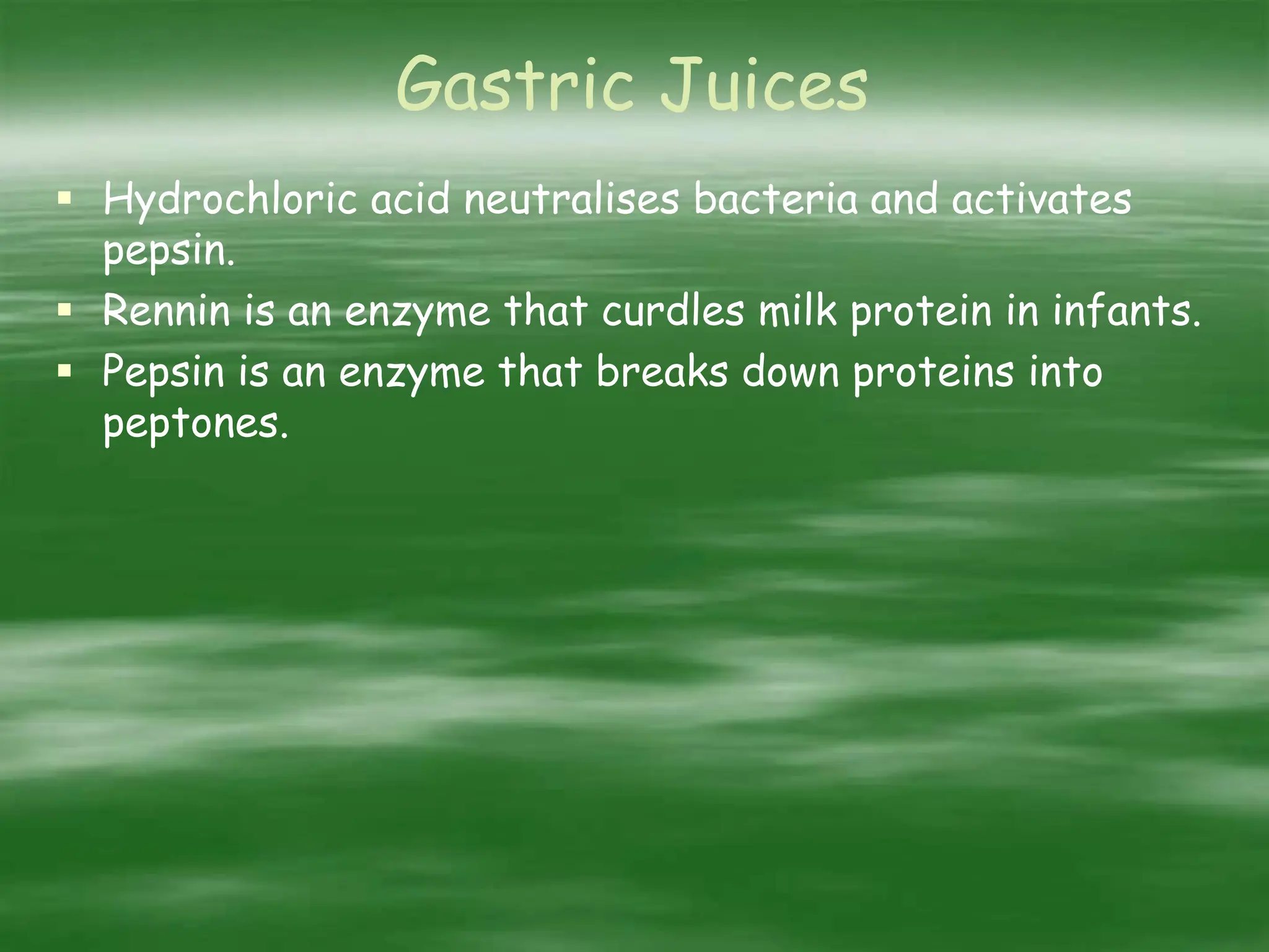 Gastric Juices
 Hydrochloric acid neutralises bacteria and activates
pepsin.
 Rennin is an enzyme that curdles milk protein in infants.
 Pepsin is an enzyme that breaks down proteins into
peptones.
 