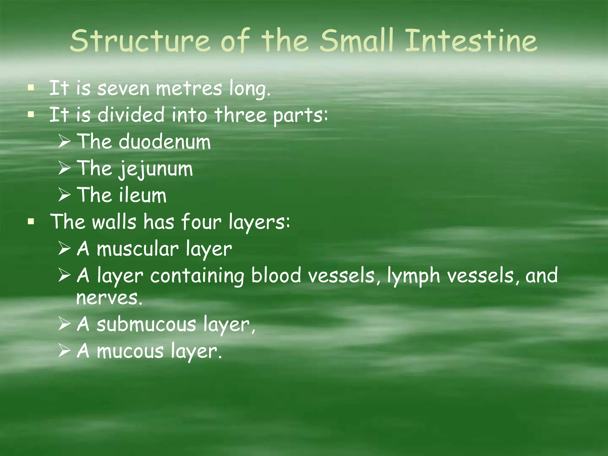Structure of the Small Intestine
 It is seven metres long.
 It is divided into three parts:
The duodenum
The jejunum
The ileum
 The walls has four layers:
A muscular layer
A layer containing blood vessels, lymph vessels, and
nerves.
A submucous layer,
A mucous layer.
 