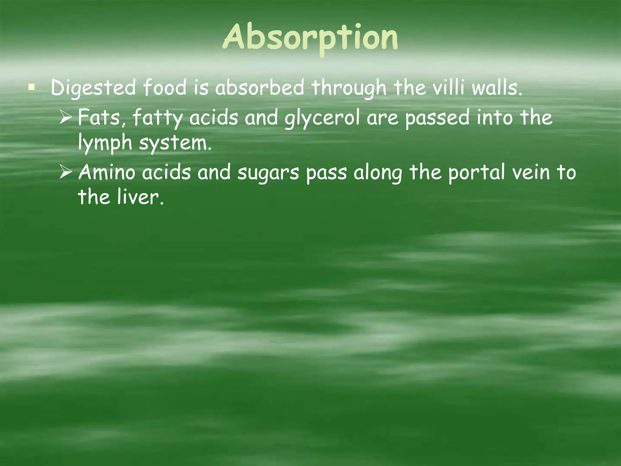 Absorption
 Digested food is absorbed through the villi walls.
Fats, fatty acids and glycerol are passed into the
lymph system.
Amino acids and sugars pass along the portal vein to
the liver.
 