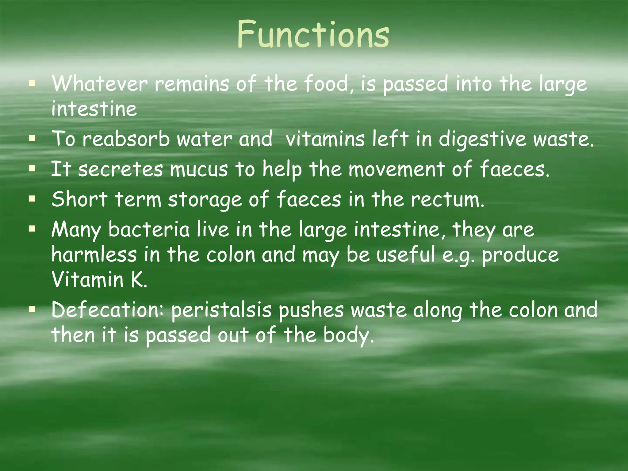 Functions
 Whatever remains of the food, is passed into the large
intestine
 To reabsorb water and vitamins left in digestive waste.
 It secretes mucus to help the movement of faeces.
 Short term storage of faeces in the rectum.
 Many bacteria live in the large intestine, they are
harmless in the colon and may be useful e.g. produce
Vitamin K.
 Defecation: peristalsis pushes waste along the colon and
then it is passed out of the body.
 