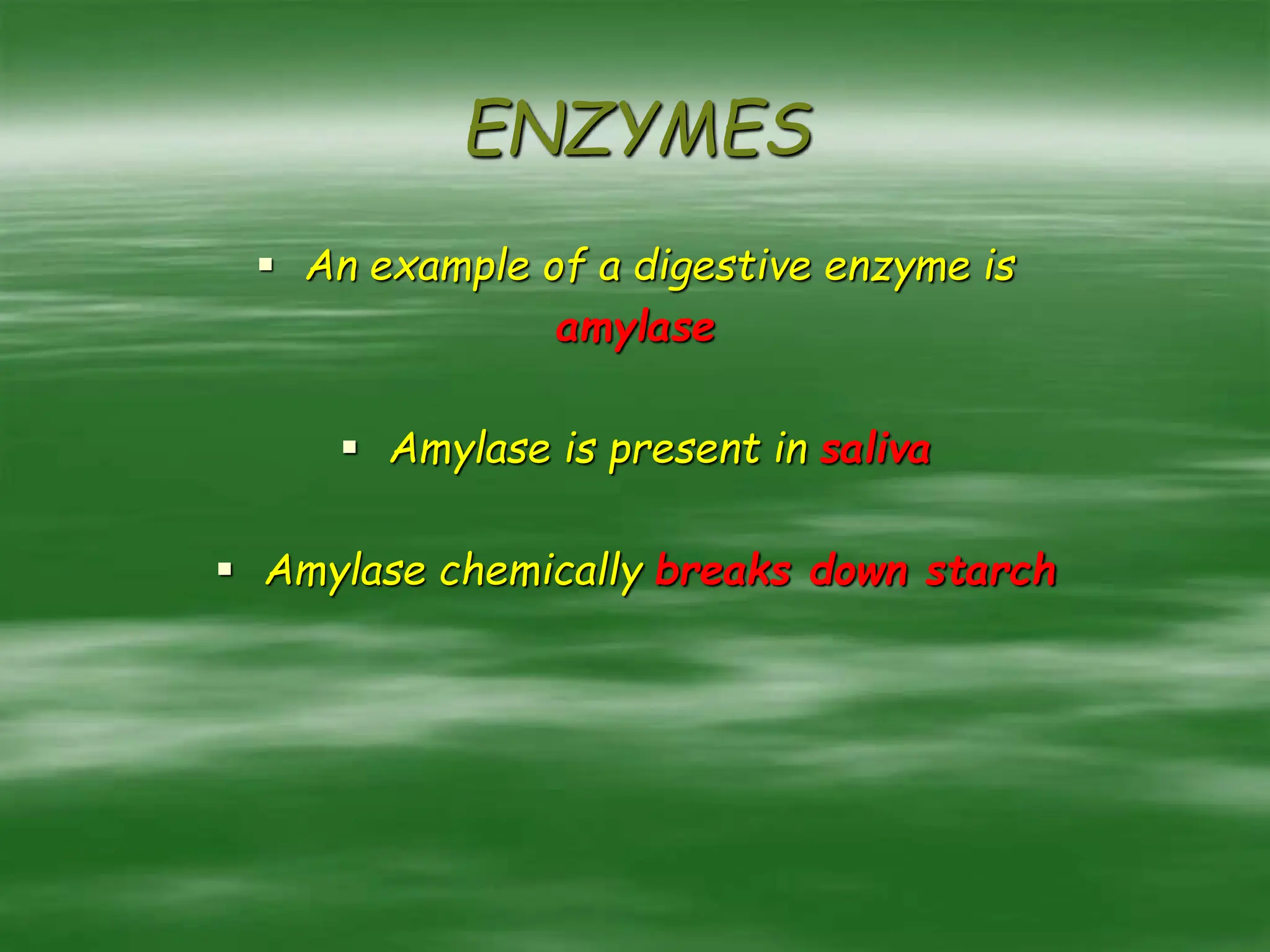 ENZYMES
 An example of a digestive enzyme is
amylase
 Amylase is present in saliva
 Amylase chemically breaks down starch
 