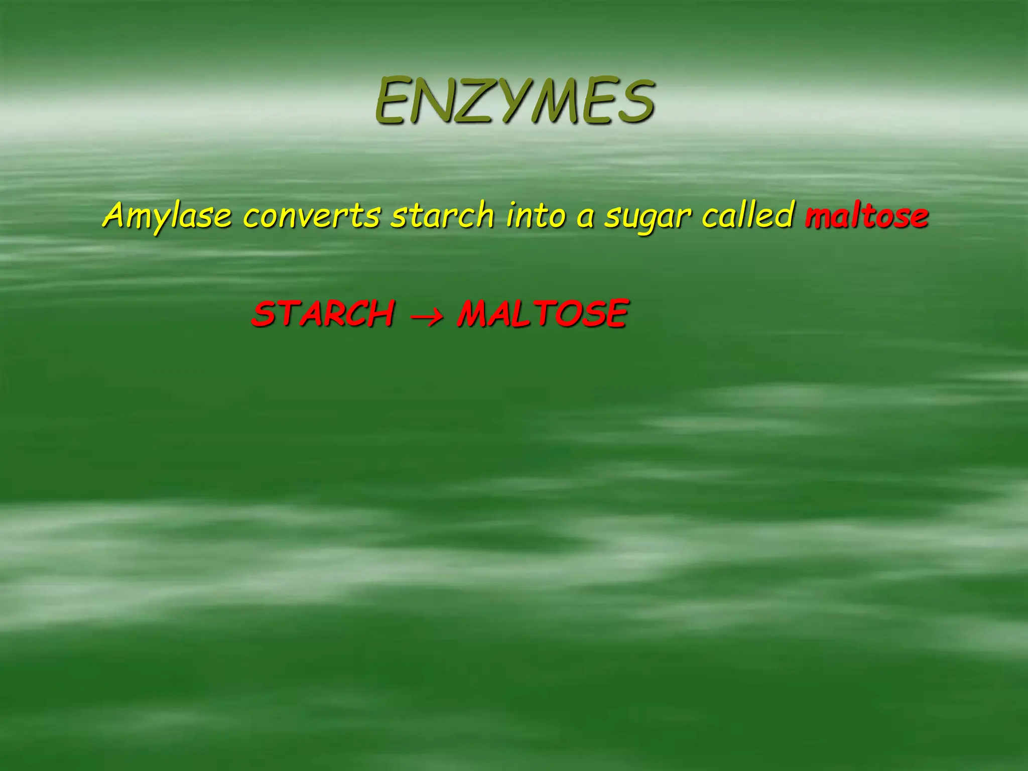 ENZYMES
Amylase converts starch into a sugar called maltose
STARCH  MALTOSE
 