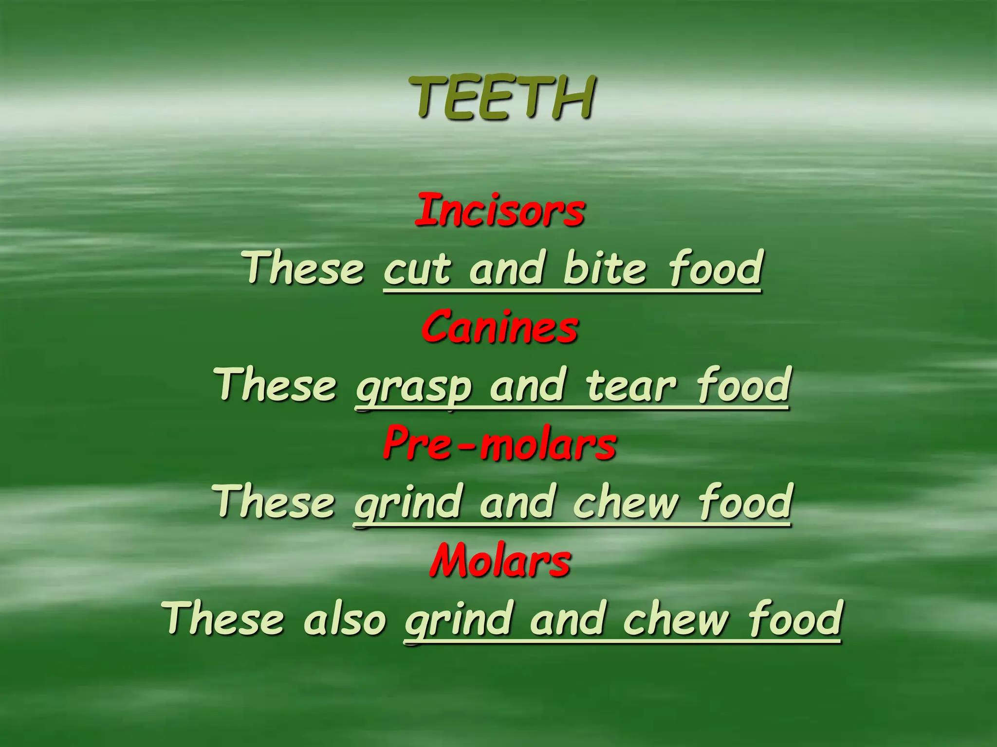 TEETH
Incisors
These cut and bite food
Canines
These grasp and tear food
Pre-molars
These grind and chew food
Molars
These also grind and chew food
 