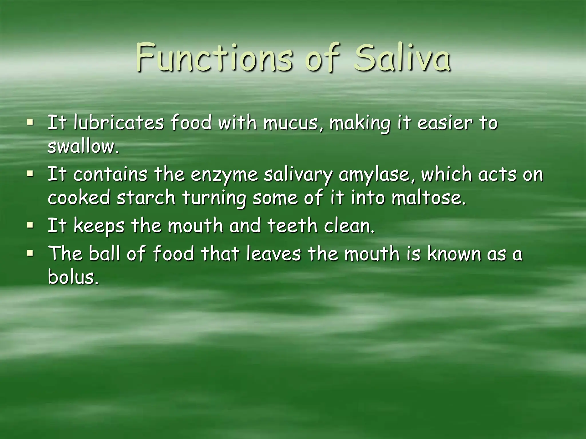 Functions of Saliva
 It lubricates food with mucus, making it easier to
swallow.
 It contains the enzyme salivary amylase, which acts on
cooked starch turning some of it into maltose.
 It keeps the mouth and teeth clean.
 The ball of food that leaves the mouth is known as a
bolus.
 