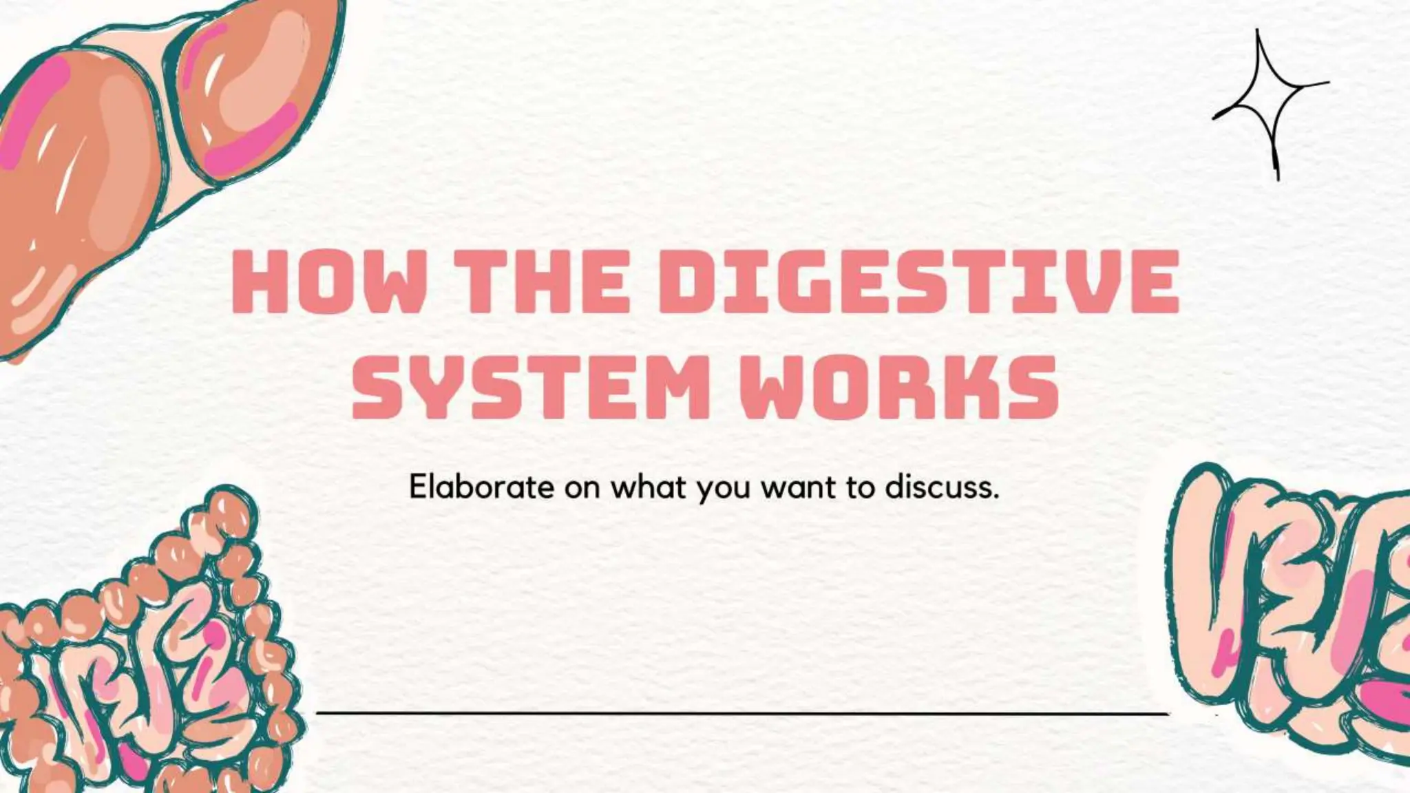 the human digestive system: Description, Parts and Function