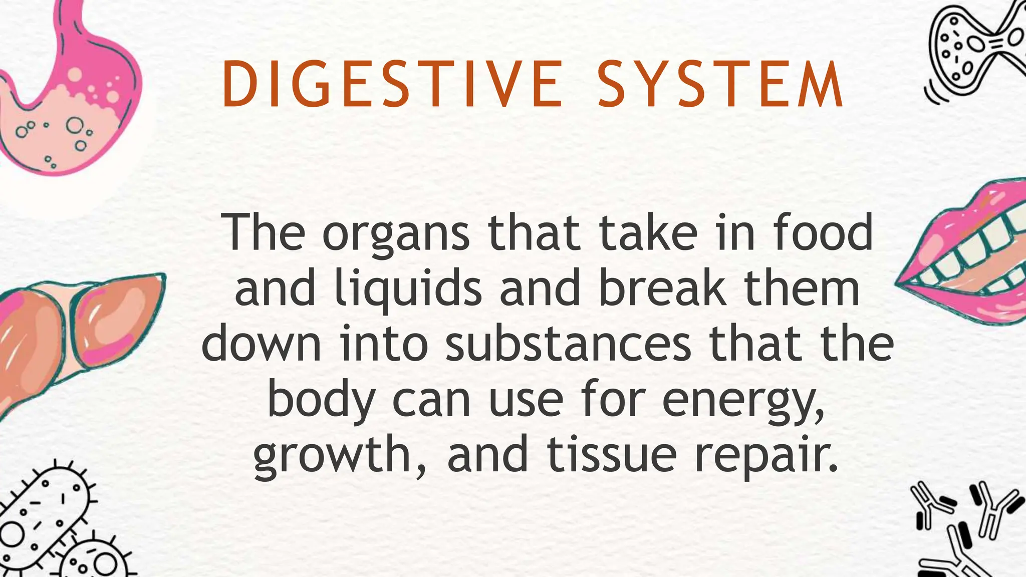 DIGESTIVE SYSTEM
The organs that take in food
and liquids and break them
down into substances that the
body can use for energy,
growth, and tissue repair.
 