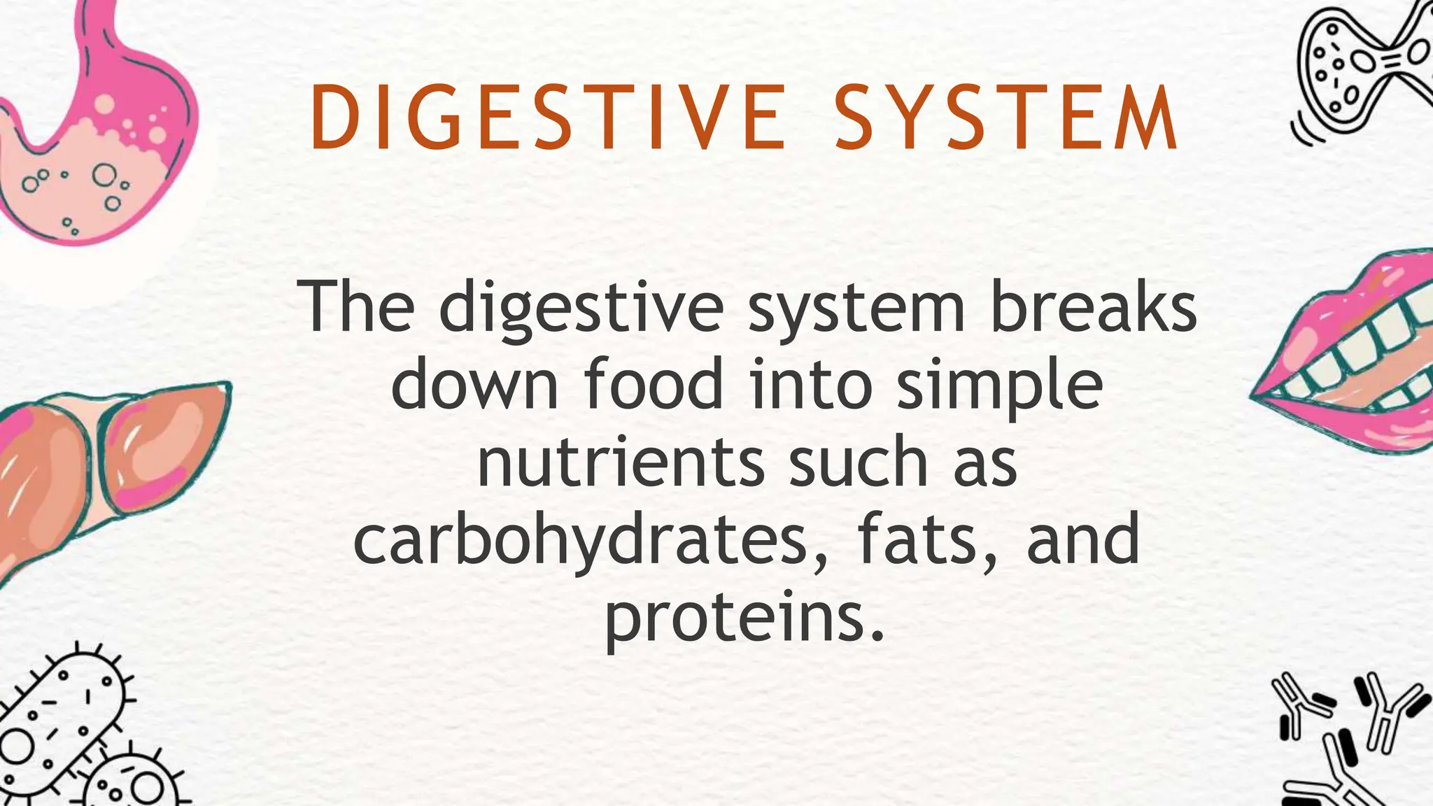 DIGESTIVE SYSTEM
The digestive system breaks
down food into simple
nutrients such as
carbohydrates, fats, and
proteins.
 