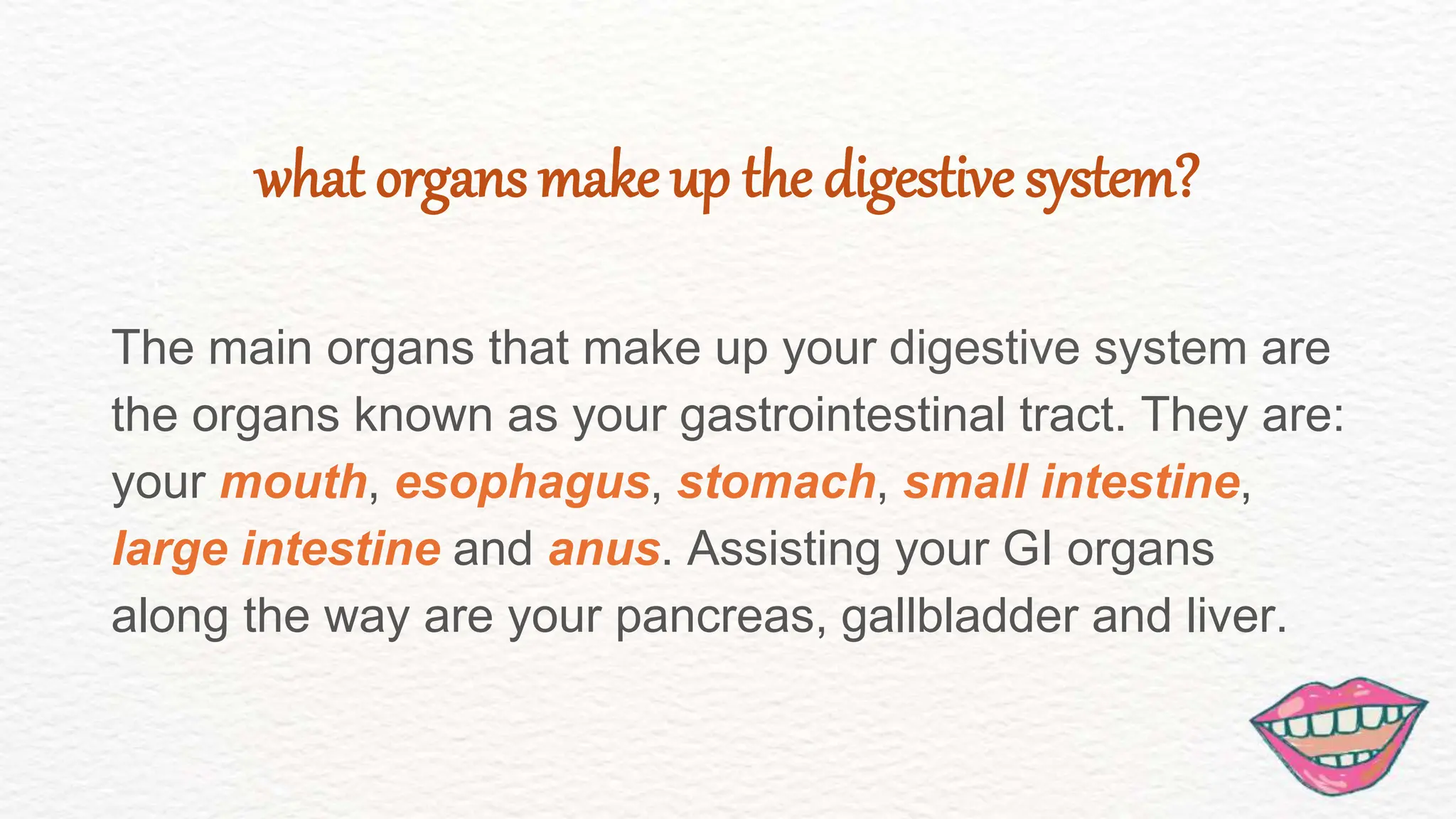 The main organs that make up your digestive system are
the organs known as your gastrointestinal tract. They are:
your mouth, esophagus, stomach, small intestine,
large intestine and anus. Assisting your GI organs
along the way are your pancreas, gallbladder and liver.
what organs make up the digestive system?
 
