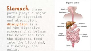 Each of the three
parts plays a major
role in digestion
and absorption.
Absorption is a
of the digestive
process that brings
the molecules from
the digested food
into the blood and,
ultimately, the
cells.
Stomach
 