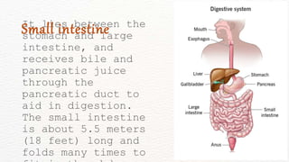 It lies between the
stomach and large
intestine, and
receives bile and
pancreatic juice
through the
pancreatic duct to
aid in digestion.
The small intestine
is about 5.5 meters
(18 feet) long and
folds many times to
Small intestine
 