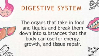 DIGESTIVE SYSTEM
The organs that take in food
and liquids and break them
down into substances that the
body can use for energy,
growth, and tissue repair.
 