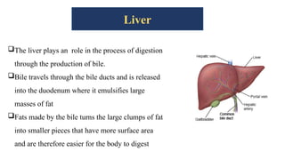 Liver
The liver plays an role in the process of digestion
through the production of bile.
Bile travels through the bile ducts and is released
into the duodenum where it emulsifies large
masses of fat
Fats made by the bile turns the large clumps of fat
into smaller pieces that have more surface area
and are therefore easier for the body to digest
 