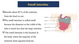 Small intestine
absorbs about 90 % of the nutrients
from the food we eat.
The small intestine is called small
because the diameter or the width of the
tube is much less than the large intestine
 The small intestine is the location in
the body where the majority of the
nutrients from ingested food are
 