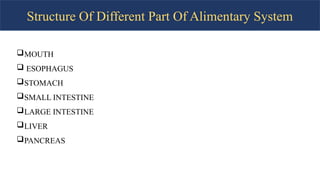 Structure Of Different Part Of Alimentary System
MOUTH
 ESOPHAGUS
STOMACH
SMALL INTESTINE
LARGE INTESTINE
LIVER
PANCREAS
 