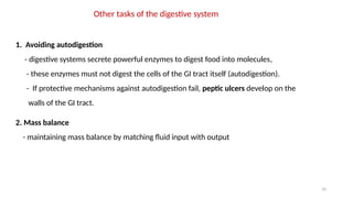 10
Other tasks of the digestive system
1. Avoiding autodigestion
- digestive systems secrete powerful enzymes to digest food into molecules,
- these enzymes must not digest the cells of the GI tract itself (autodigestion).
- If protective mechanisms against autodigestion fail, peptic ulcers develop on the
walls of the GI tract.
2. Mass balance
- maintaining mass balance by matching fluid input with output
 