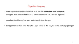 16
Digestive Enzymes
- some digestive enzymes are secreted in an inactive proenzyme form (zmogens).
Zymogens must be activated in the GI lumen before they can carry out digestion.
- a nonfunctional form of enzymes protects cells from damage,
- zymogen names often have the suffix –ogen added to the enzyme name, such as pepsinogen
 