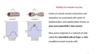 21
Motility of smooth muscles
Cycles of smooth muscle contraction and
relaxation are associated with cycles of
depolarization and repolarization known as
slow wave potentials ( slow waves).
Slow waves originate in a network of cells
called the interstitial cells of Cajal, or ICCs
(modified smooth muscle cell)
 