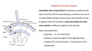 22
Motility of smooth muscles
Interstitial cells of Cajal (ICCs) lie between smooth muscle
layers and the intrinsic nerve plexuses, and they may act as
an intermediary between the neurons and smooth muscle.
It appears that ICCs function as the pacemakers for slow
wave activity in different regions of the GI tract.
Slow wave potentials:
- frequency - (3–12 waves/min)
- frequency varies by region of the digestive tract,
(3 waves/min in the stomach, 12 waves/min in the
duodenum).
 
