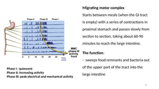 28
Migrating motor complex
Starts between meals (when the GI tract
is empty) with a series of contractions in
proximal stomach and passes slowly from
section to section, taking about 60-90
minutes to reach the large intestine.
The function:
- sweeps food remnants and bacteria out
of the upper part of the tract into the
large intestine
Phase I : quiescent
Phase II: increasing activity
Phase III: peak electrical and mechanical activity
 