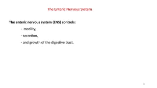 33
The enteric nervous system (ENS) controls:
- motility,
- secretion,
- and growth of the digestive tract.
The Enteric Nervous System
 