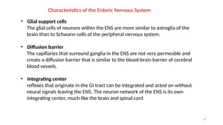 35
Characteristics of the Enteric Nervous System
• Glial support cells
The glial cells of neurons within the ENS are more similar to astroglia of the
brain than to Schwann cells of the peripheral nervous system.
• Diffusion barrier
The capillaries that surround ganglia in the ENS are not very permeable and
create a diffusion barrier that is similar to the blood-brain barrier of cerebral
blood vessels.
• Integrating center
reflexes that originate in the GI tract can be integrated and acted on without
neural signals leaving the ENS. The neuron network of the ENS is its own
integrating center, much like the brain and spinal cord
 