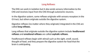 40
Long Reflexes
The ENS can work in isolation but it also sends sensory information to the
CNS and receives input from the CNS through autonomic neurons.
In the digestive system, some reflexes originate with sensory receptors in the
GI tract, but others originate outside the digestive system.
Digestive reflexes (no matter where they originate) integrated in the CNS are
called long reflexes.
Long reflexes that originate outside the digestive system include feedforward
reflexes and emotional reflexes are called cephalic reflexes.
Feedforward reflexes begin with stimuli such as the sight, smell, sound,
thought of food, and they prepare the digestive system for food that the
brain is anticipating.
 