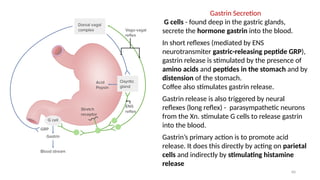 60
Gastrin Secretion
G cells - found deep in the gastric glands,
secrete the hormone gastrin into the blood.
In short reflexes (mediated by ENS
neurotransmiter gastric-releasing peptide GRP),
gastrin release is stimulated by the presence of
amino acids and peptides in the stomach and by
distension of the stomach.
Coffee also stimulates gastrin release.
Gastrin release is also triggered by neural
reflexes (long reflex) - parasympathetic neurons
from the Xn. stimulate G cells to release gastrin
into the blood.
Gastrin’s primary action is to promote acid
release. It does this directly by acting on parietal
cells and indirectly by stimulating histamine
release
 
