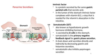 66
Intrinsic factor
- is a protein secreted by the same gastric
parietal cells that secrete acid,
- in the lumen of the stomach intrinsic factor
complexes with vitamin B12, a step that is
needed for the vitamin’s absorption in the
intestine,
Somatostatin (SST)
- also known as hypothalamic growth
hormone-inhibiting hormone,
- is secreted by D cells in the stomach.
- somatostatin is the primary negative
feedback signal for gastric phase secretion,
- it shuts down acid secretion directly and
indirectly by decreasing gastrin and
histamine secretion,
- somatostatin also inhibits pepsinogen
secretion
Paracrine Secretions
 