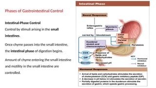 68
Phases of Gastrointestinal Control
Intestinal-Phase Control
Control by stimuli arising in the small
intestines.
Once chyme passes into the small intestine,
the intestinal phase of digestion begins.
Amount of chyme entering the small intestine
and motility in the small intestine are
controlled.
 