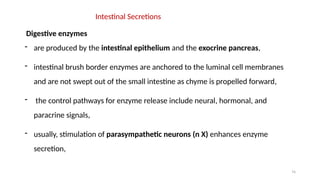 74
Intestinal Secretions
Digestive enzymes
- are produced by the intestinal epithelium and the exocrine pancreas,
- intestinal brush border enzymes are anchored to the luminal cell membranes
and are not swept out of the small intestine as chyme is propelled forward,
- the control pathways for enzyme release include neural, hormonal, and
paracrine signals,
- usually, stimulation of parasympathetic neurons (n X) enhances enzyme
secretion,
 